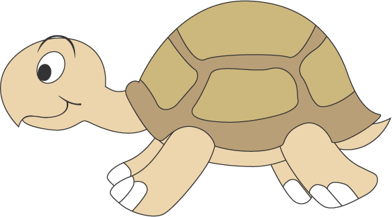 Tiere Schildkröte braun